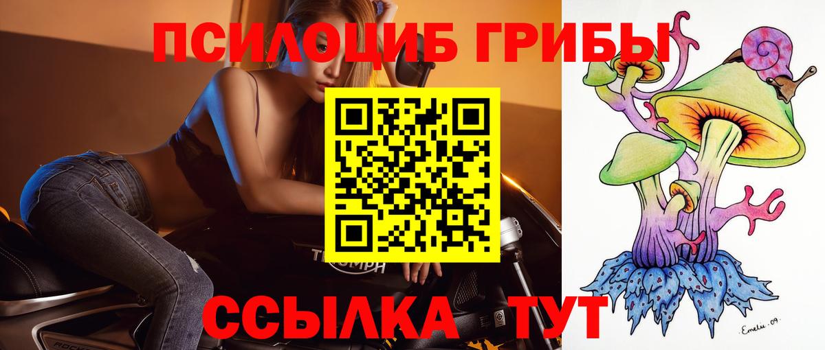 Галлюциногенные грибы GOLDEN TEACHER Кемерово