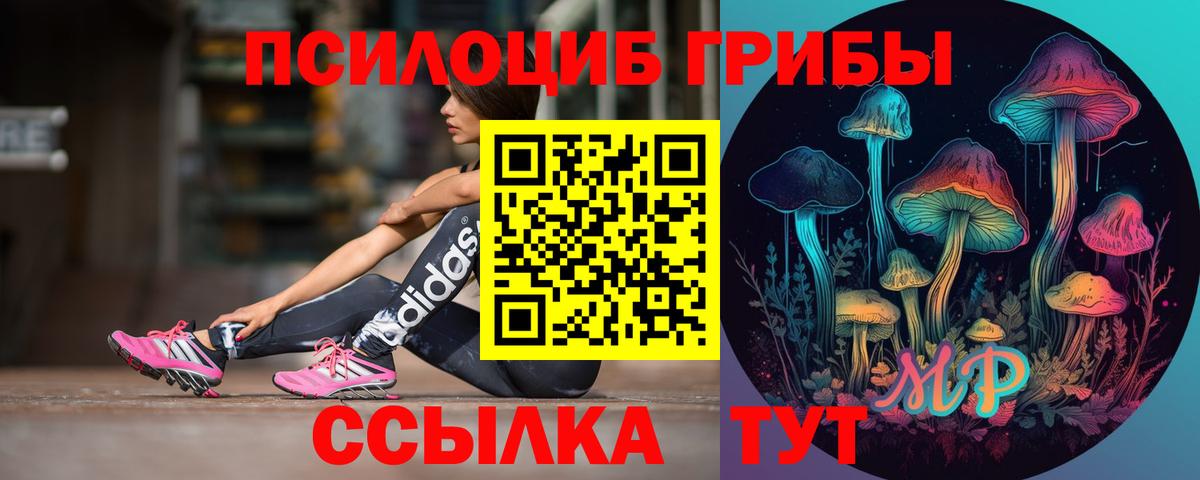 Псилоцибиновые грибы прущие грибы  Галлюциногенные грибы мухоморы  Вход с VPN  Кемерово 